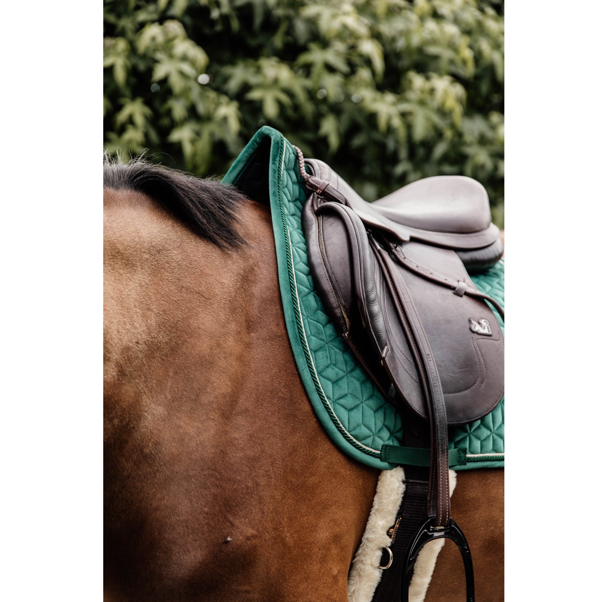 Kentucky Horsewear Saddle Pad Velvet Jumping Dark Green Edition