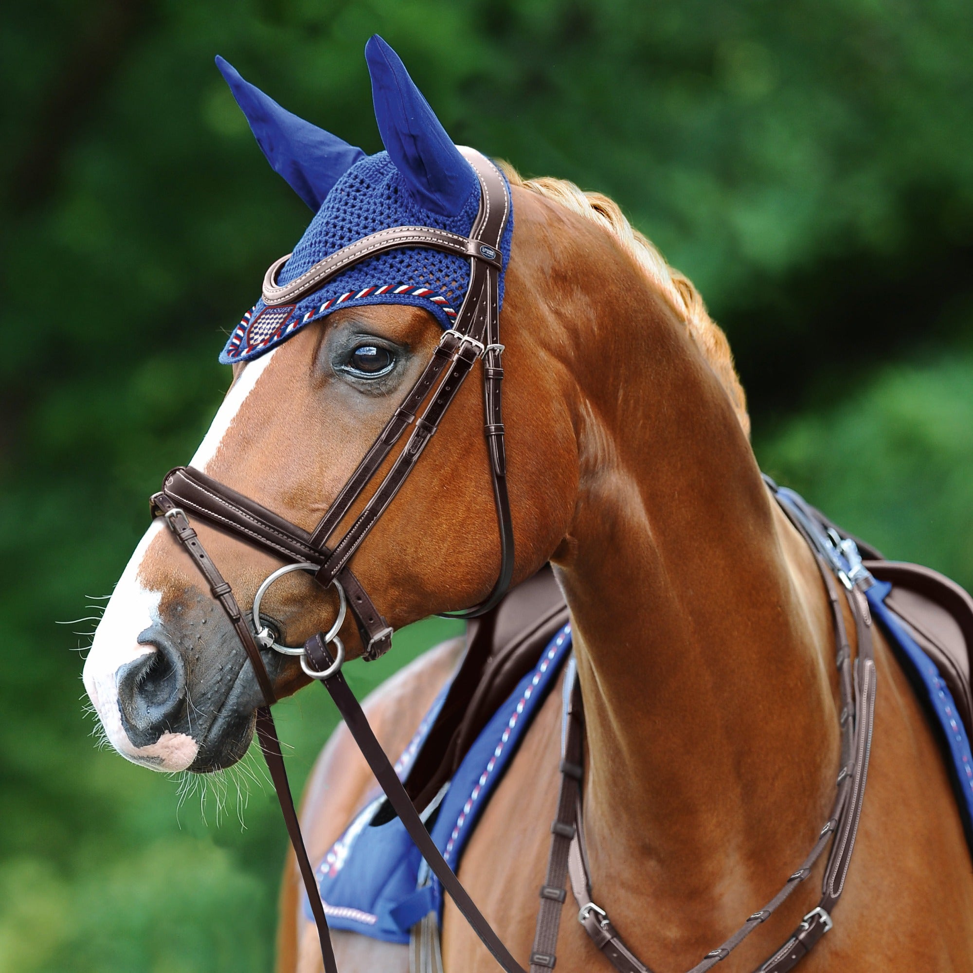 PASSIER No Limits Snaffle Bridle, Black