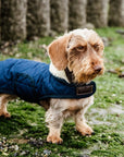 Kentucky Dog Coat, Navy