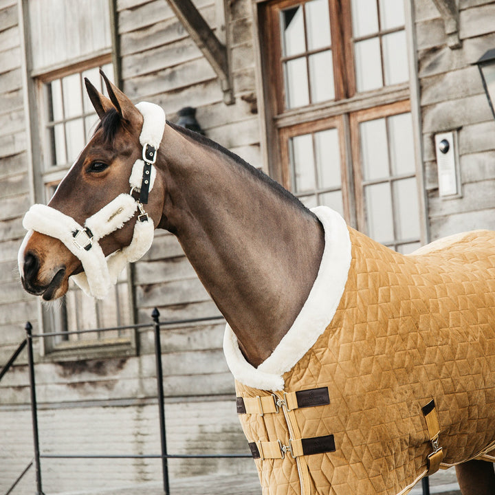 Kentucky Horsewear Show Rug Velvet 160g, Mustard