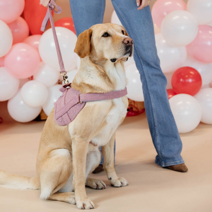 Kentucky Dog Harness Body Safe Wool, Light Pink