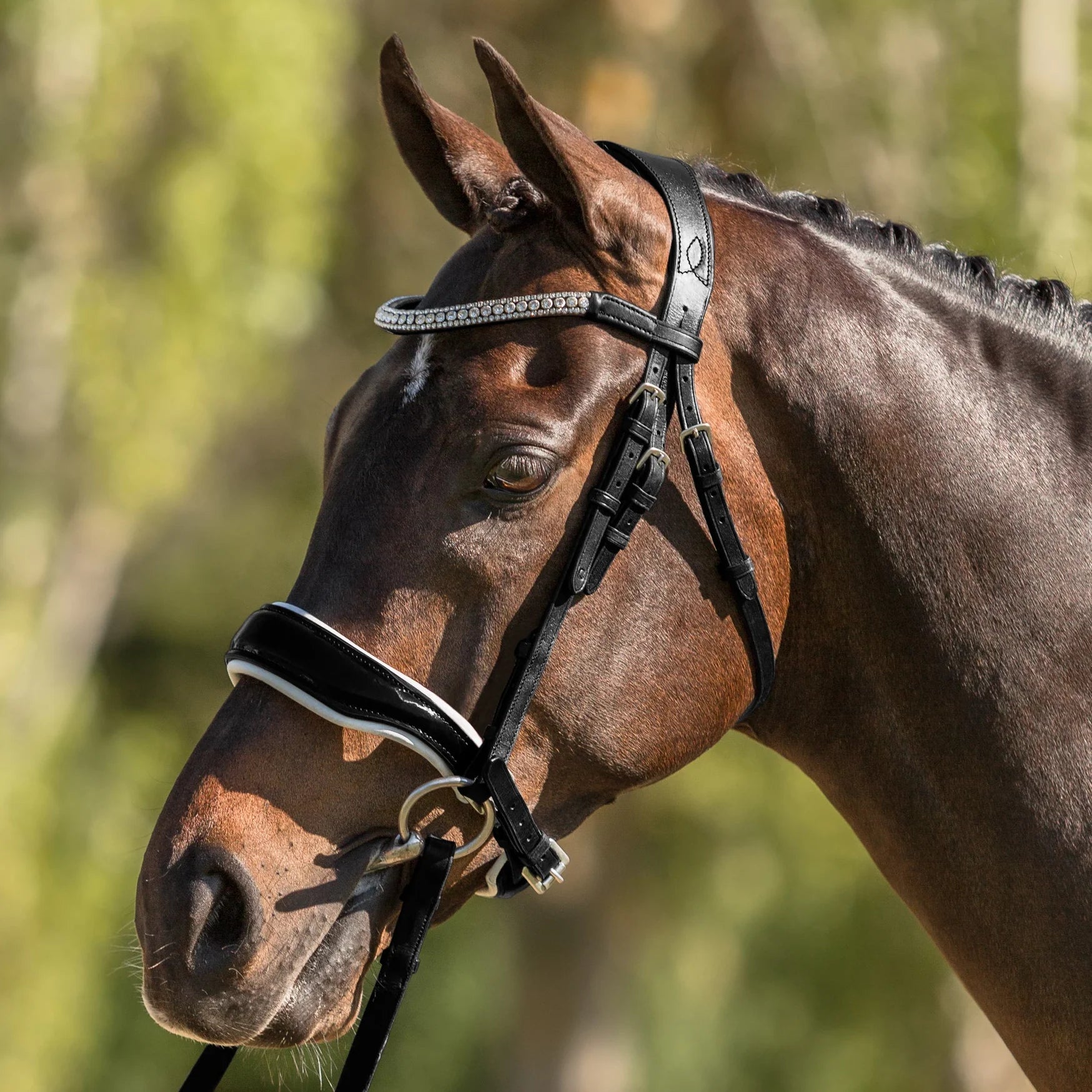 Lumiere Equestrian ADELINE Luxury Leather Snaffle Bridle, Black with Reins