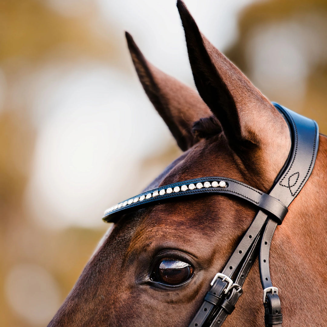 Lumiere Equestrian Swarovski Crystal Browband, Black Leather