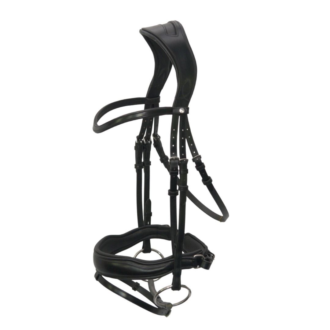 Artemis Equine Destiny Dressage Bridle, Black, COB