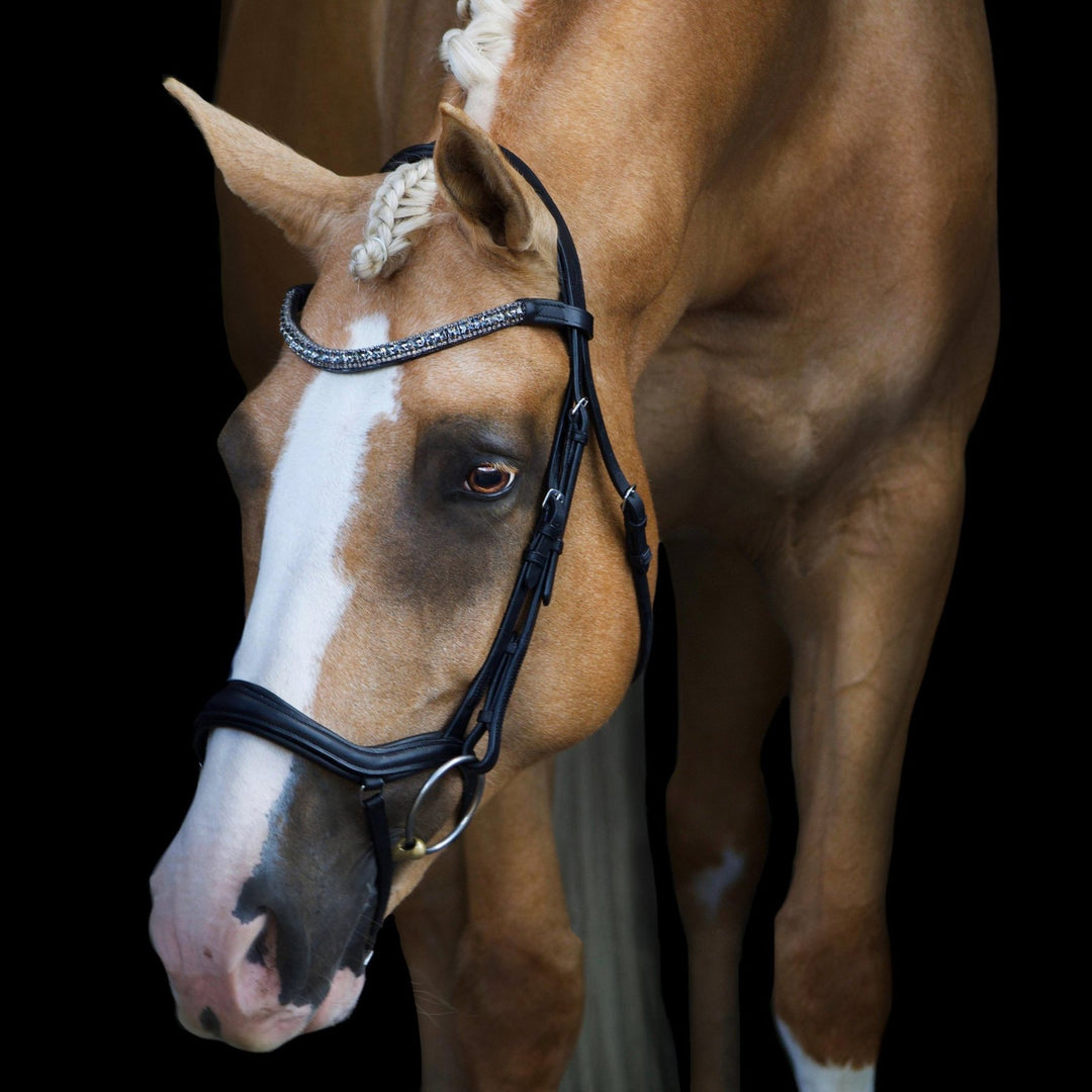 Lumiere Equestrian MILA Anatomic Premium Leather Bridle, Black with Reins