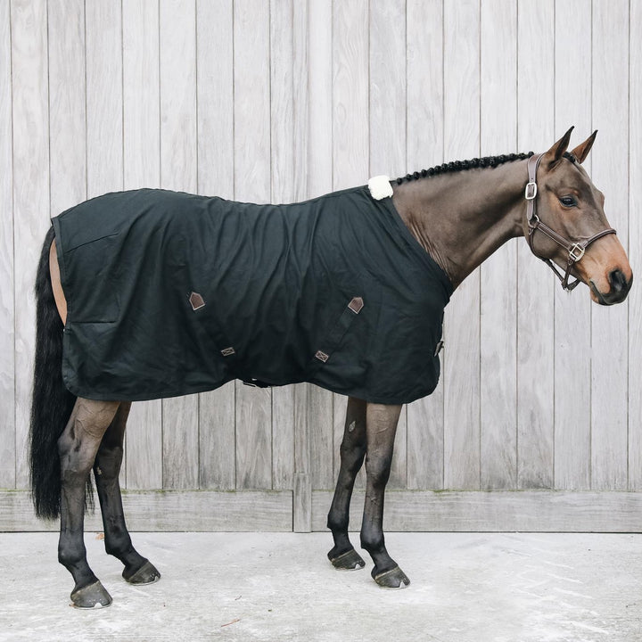 Kentucky Horsewear Cotton Blanket
