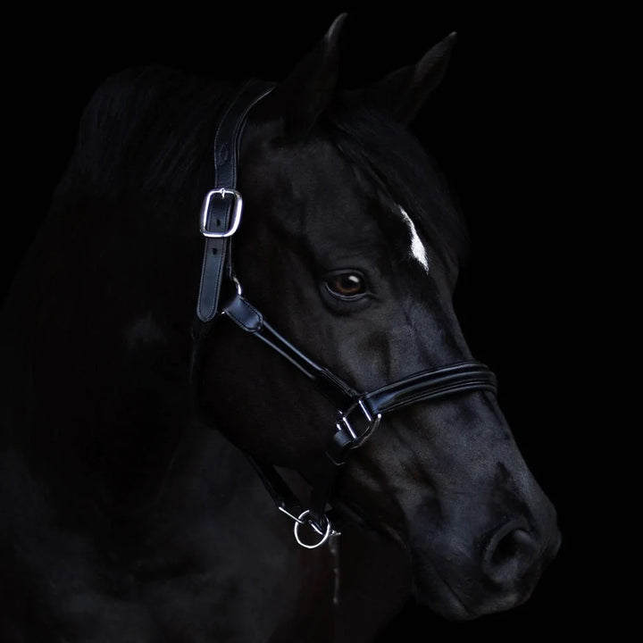 Lumiere Equestrian ALLEGRA Leather Halter, Black
