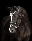 Lumiere Equestrian ANASTASIA Convertible Bridle, Black - with Reins