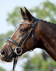 Lumiere Equestrian ANASTASIA Convertible Bridle, Black - with Reins