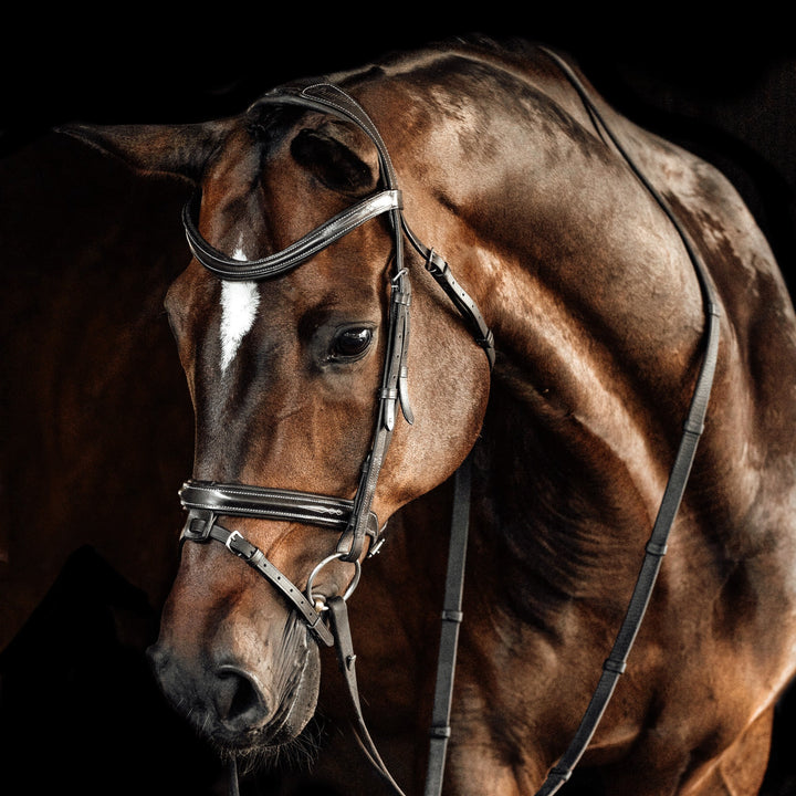 Lumiere Equestrian MILAN Convertible Bridle, Brown with Reins