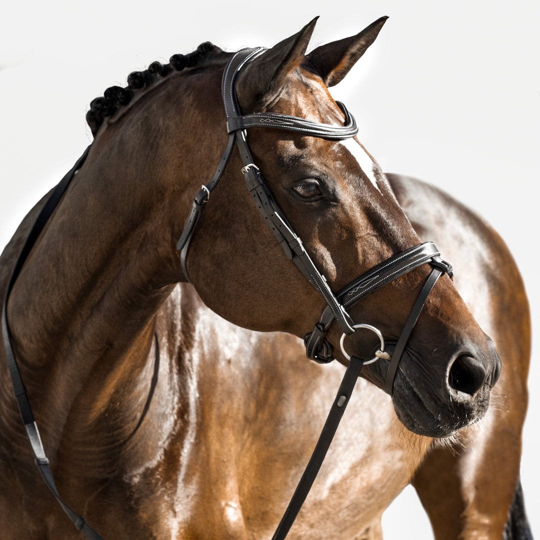Lumiere Equestrian MILAN Convertible Bridle, Brown with Reins