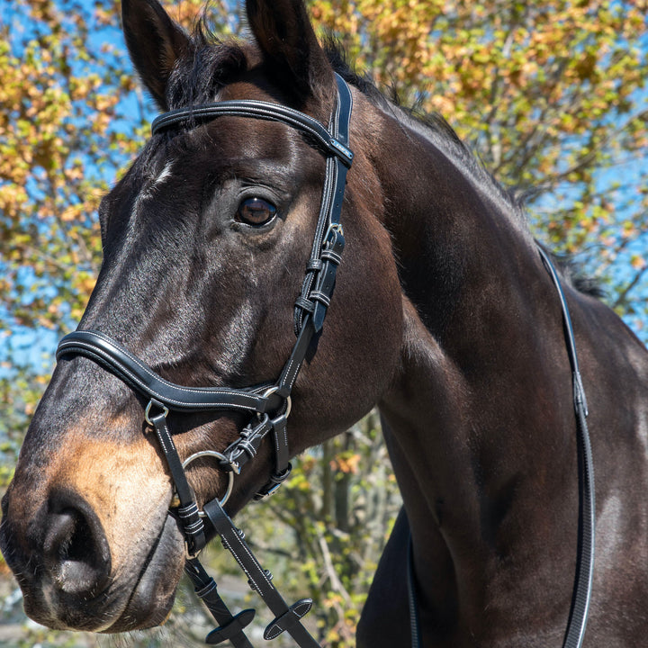 Jump'In ONE New York Bridle with Reins, Black