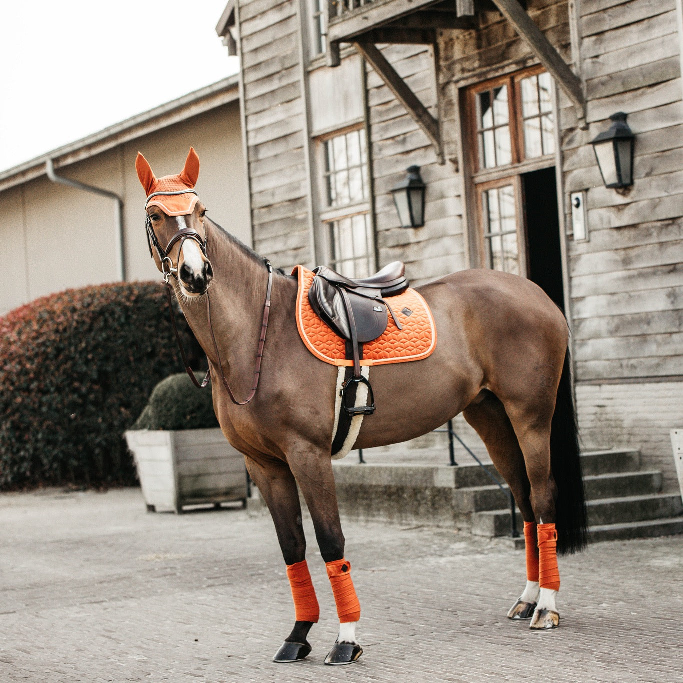 Kentucky Horsewear Saddle Pad Velvet Jumping Orange Edition