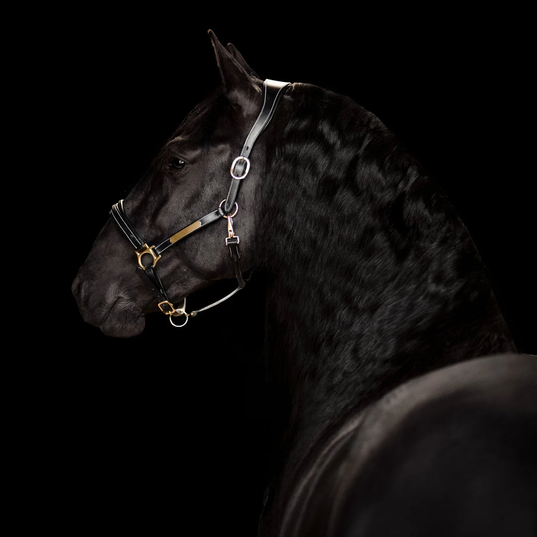 Lumiere Equestrian BELLA Leather Halter, Black