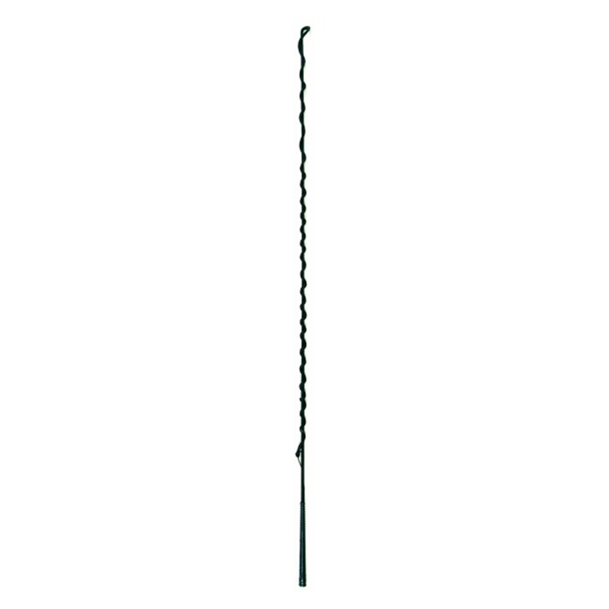 EquiStar Lunge Whip, Black