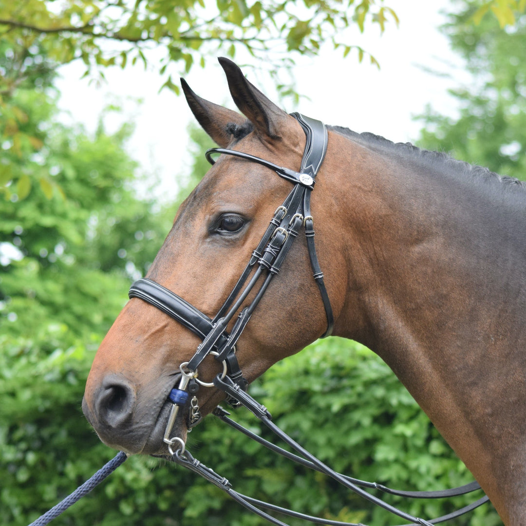 Jump'In Dressage Double Bridle with Reins, Black