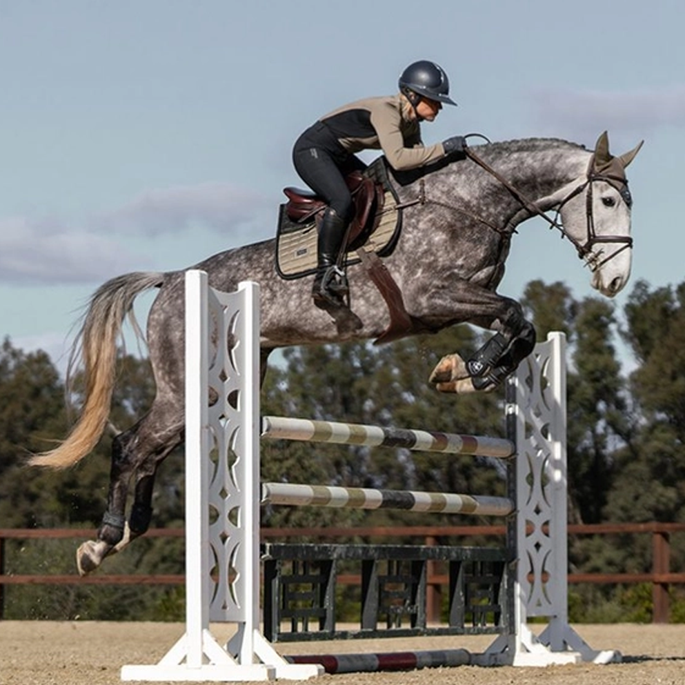 Equestrian Stockholm Jump Saddle Pad, Sportive Chantelle, Pony