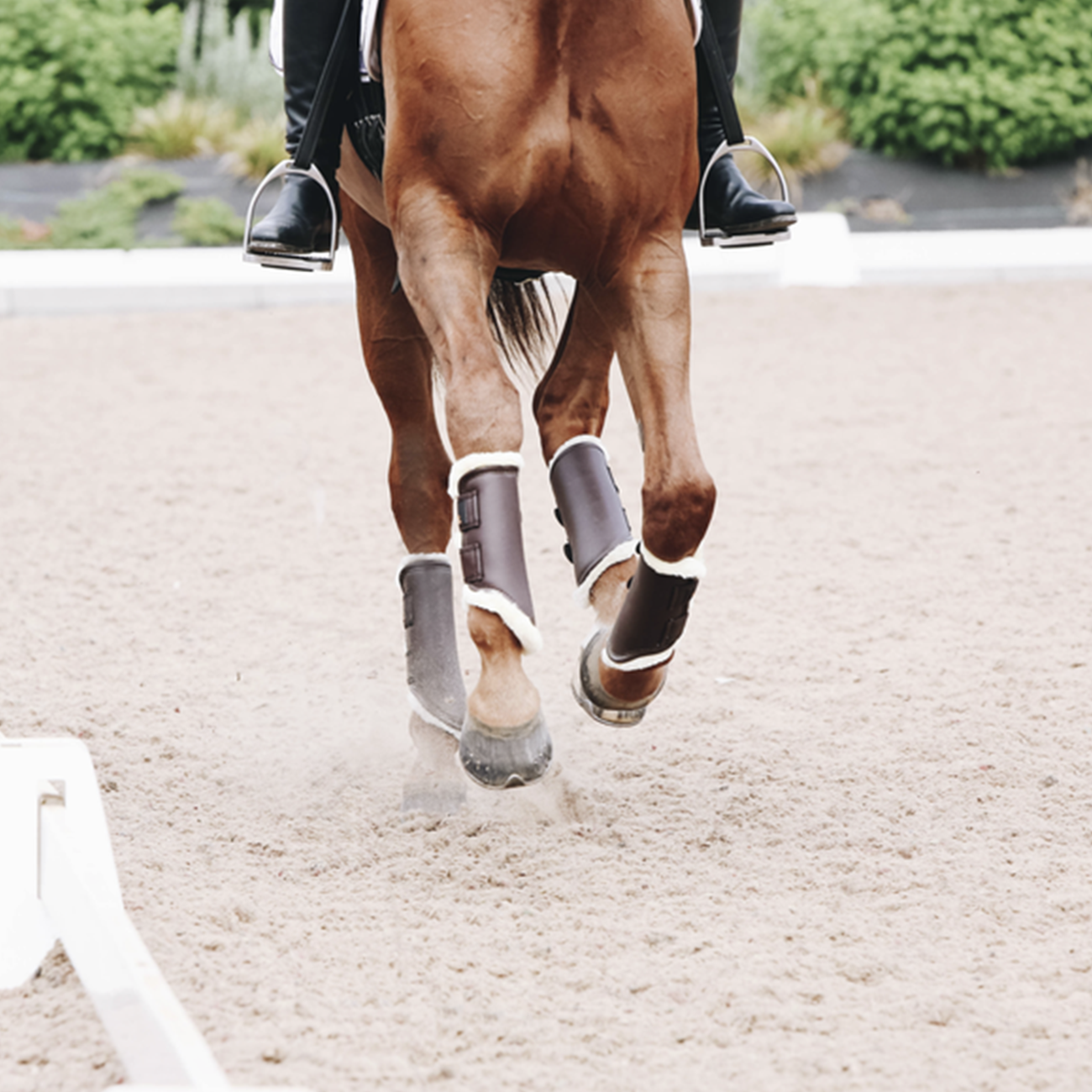 Kentucky Horsewear Turnout Boots Leather Hind