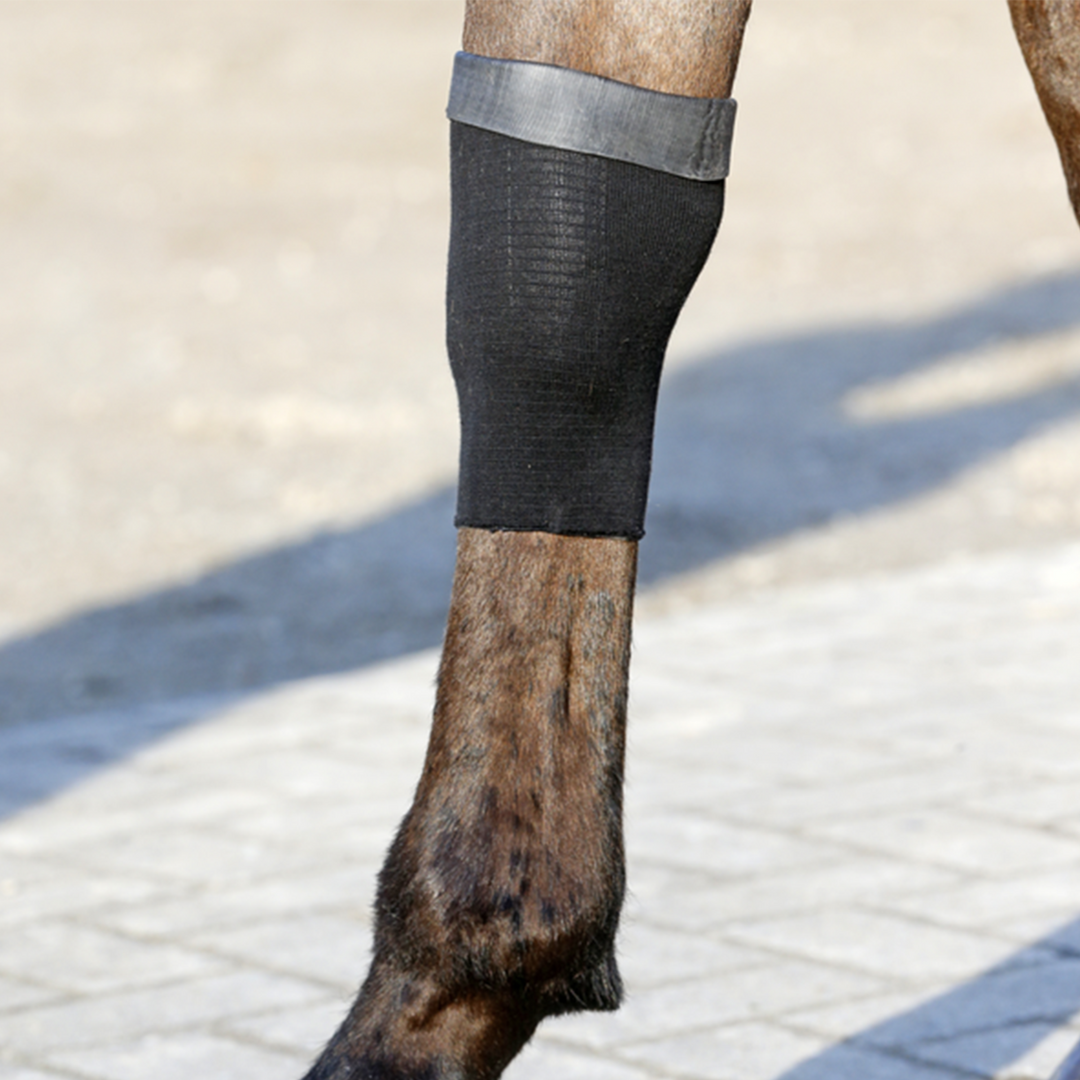 Kentucky Horsewear Tendon Grip Gel Sock