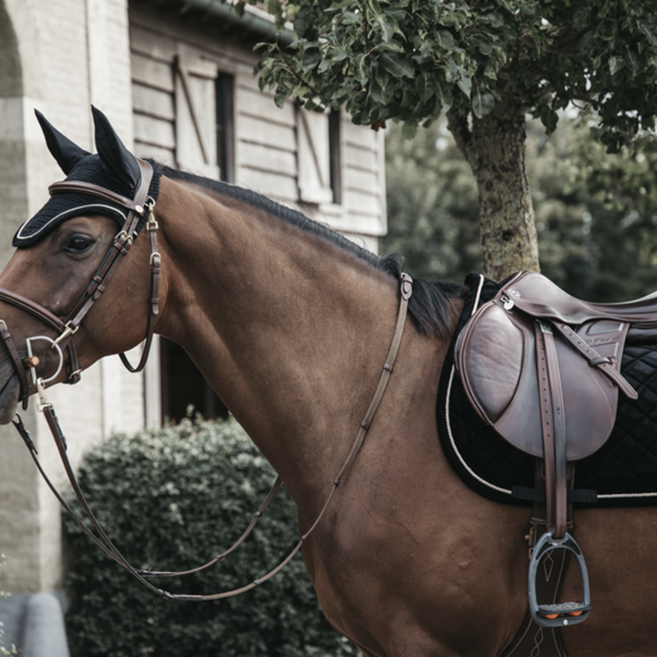 Kentucky Horsewear Fly Veil Wellington Corduroy