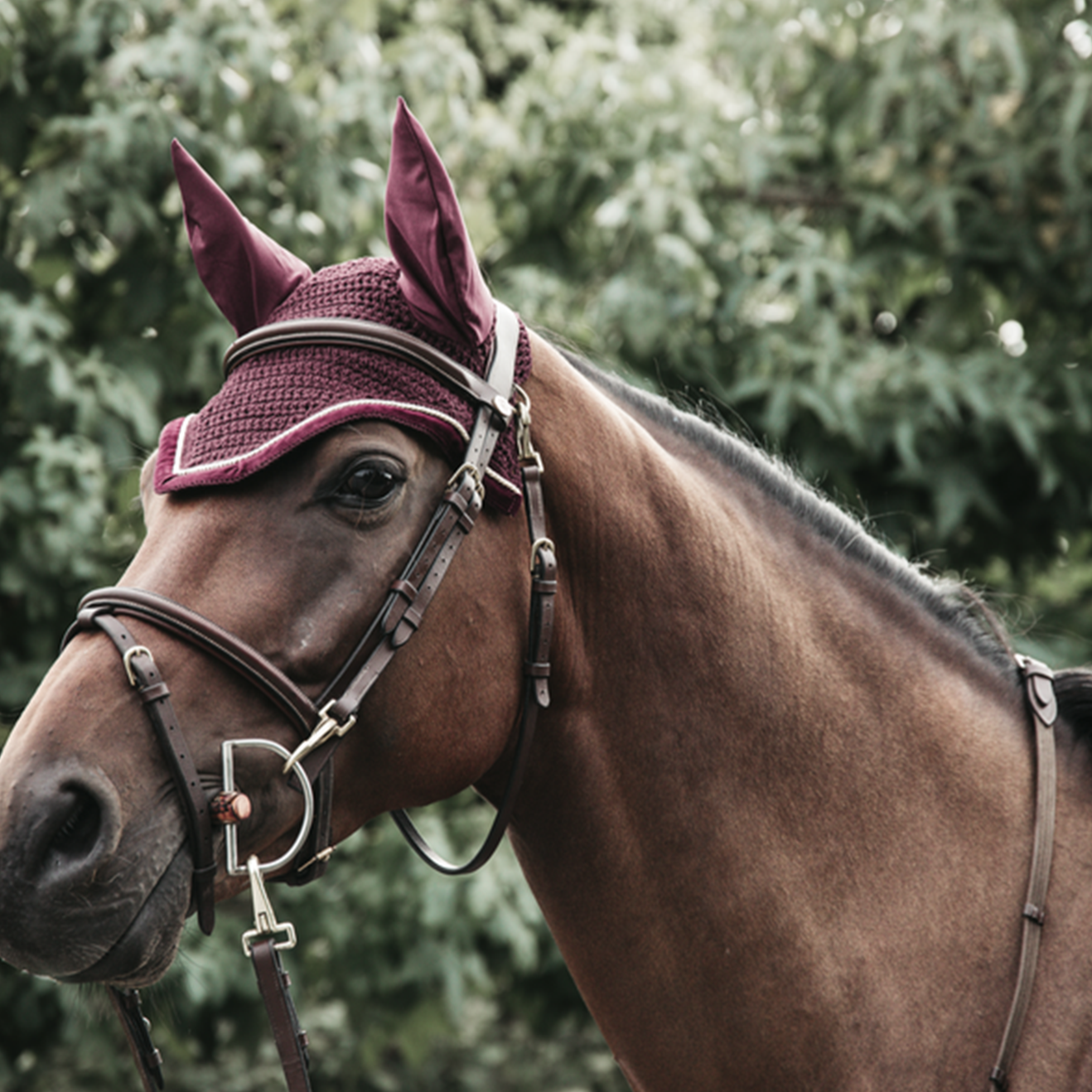 Kentucky Horsewear Fly Veil Wellington Corduroy