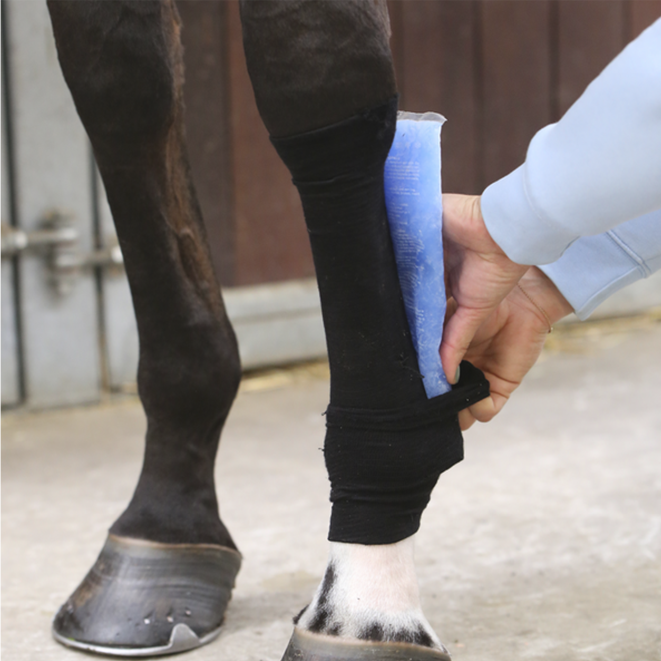Kentucky Horsewear Tendon Grip Sock, Black