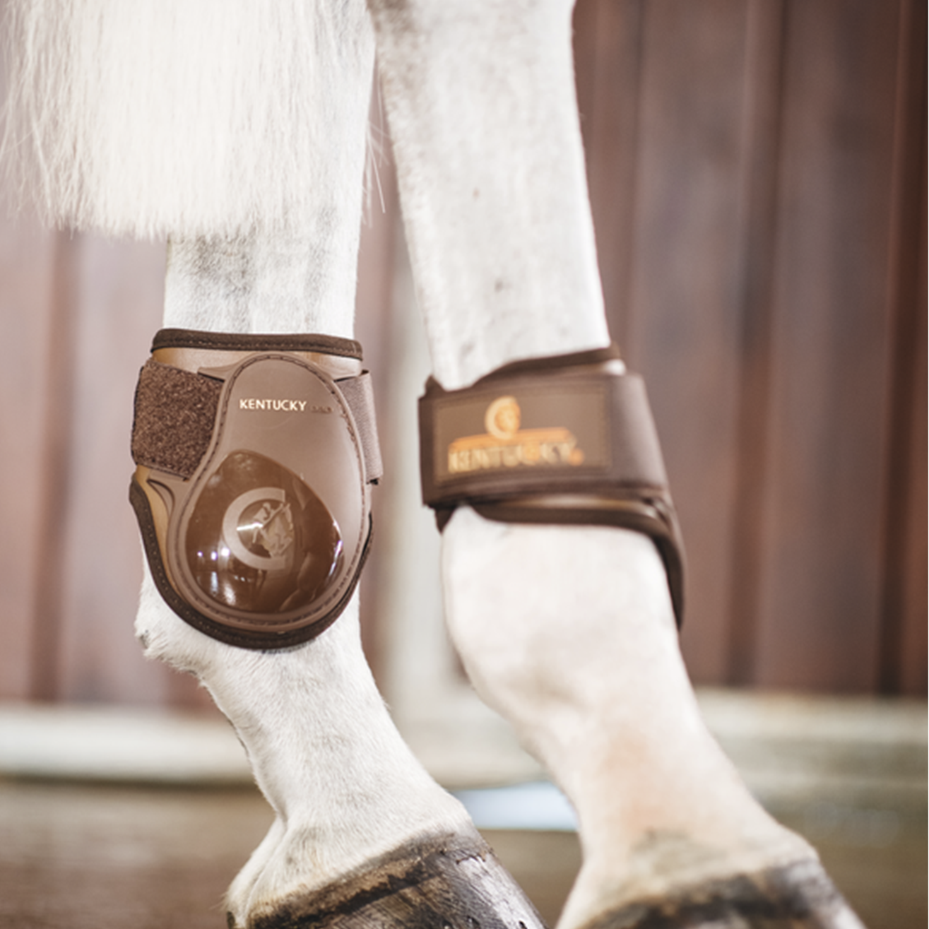 Kentucky Horsewear Young Horse Fetlock Boots