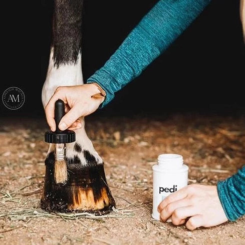 The Infused Equestrian pedi. A Hoof Conditioner