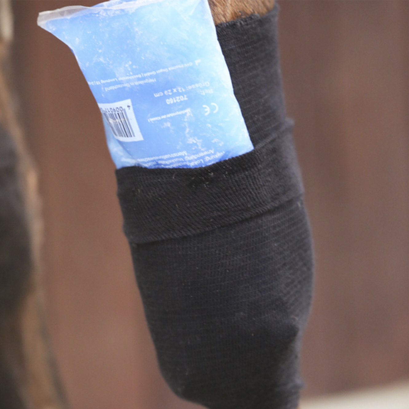 Kentucky Horsewear Tendon Grip Sock, Black