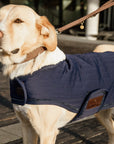 Kentucky Dog Coat Pearls, Navy