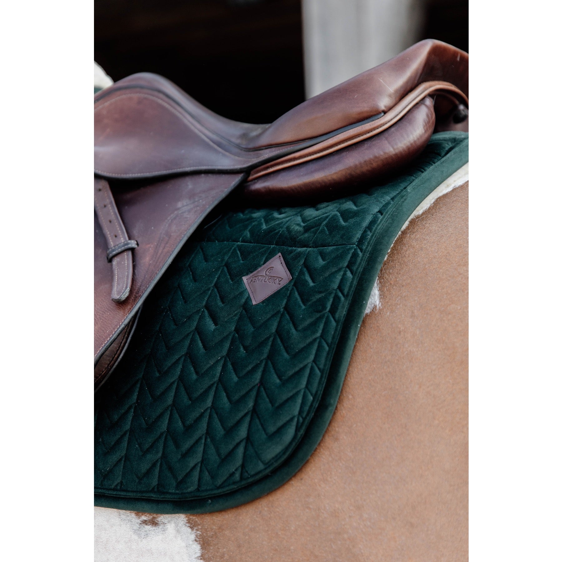 Kentucky Horsewear Skin Friendly Saddle Pad Velvet Jumping, Pine Green