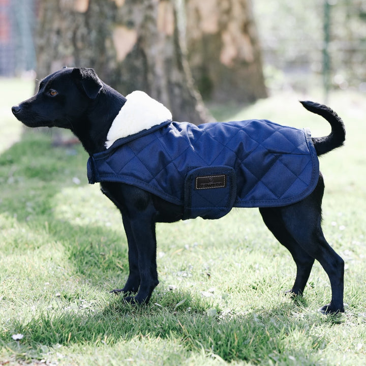 Kentucky Dog Coat, Navy
