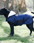 Kentucky Dog Coat, Navy