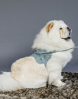 Kentucky Dog Harness Body Safe Wool, Light Blue