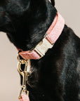 Kentucky Dog Collar Wool, Old Rose