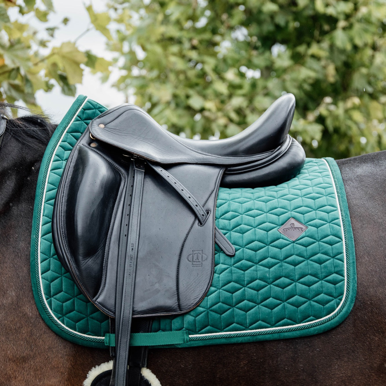 Kentucky Horsewear Saddle Pad Velvet Dressage Dark Green Edition