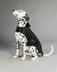 Kentucky Dog Coat, Black