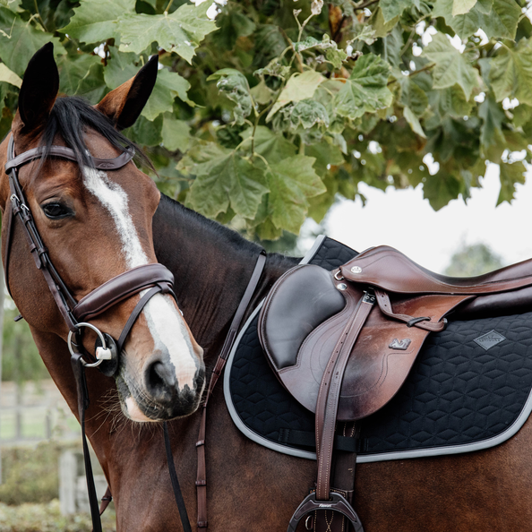 Kentucky Horsewear Saddle Pad Softshell Jumping, Black, Full