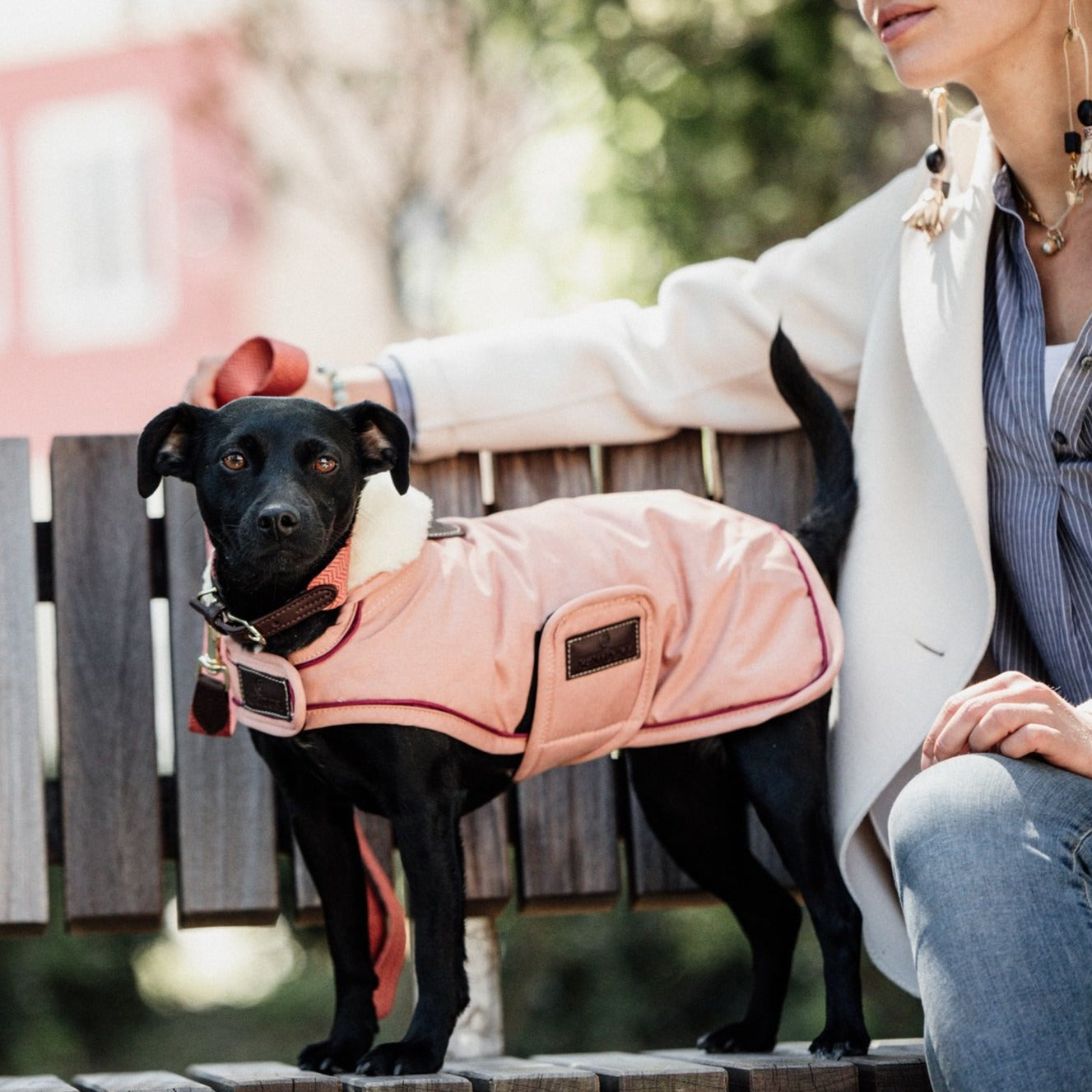 Kentucky Dog Coat Waterproof Coral