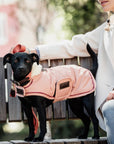 Kentucky Dog Coat Waterproof Coral