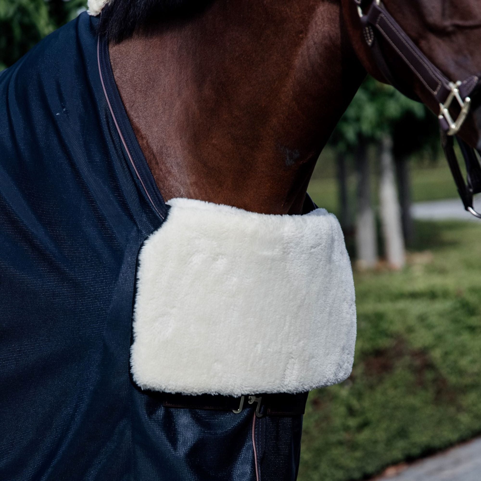 Kentucky Horsewear Horse Bib Chest Protection Sheepskin